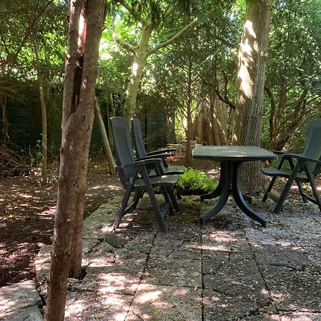 Bed And Breakfast De Haen - Prive-Appartementen Van 43 Of 60 M2 Met Tweepersoons Bubbelbad - Finse Sauna - In Westvleugel Van Luxe Villa Oss Luaran gambar