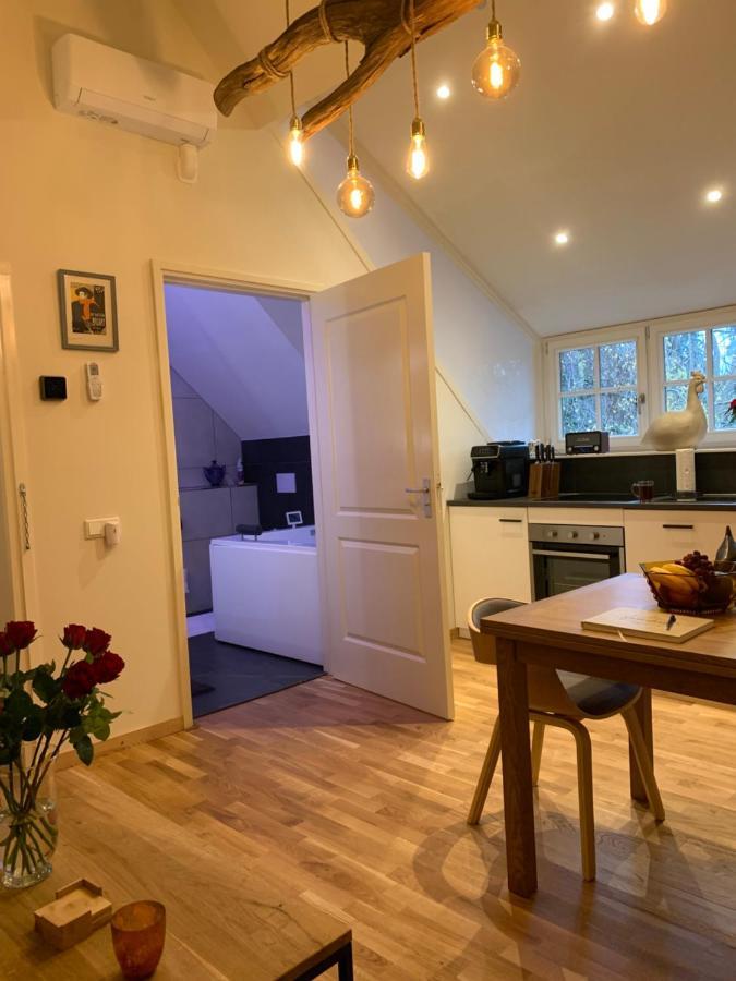Bed And Breakfast De Haen - Prive-Appartementen Van 43 Of 60 M2 Met Tweepersoons Bubbelbad - Finse Sauna - In Westvleugel Van Luxe Villa Oss Luaran gambar