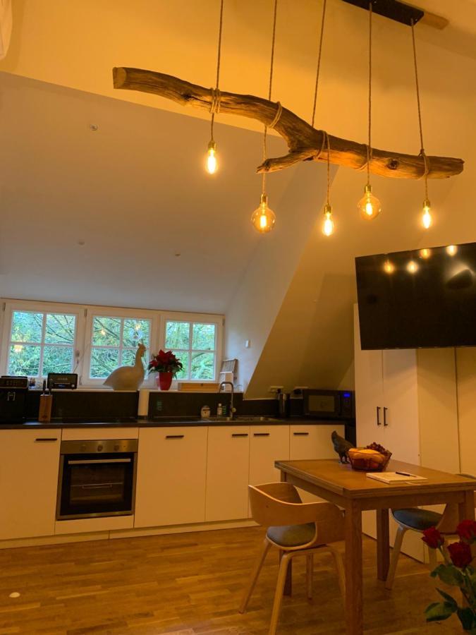 Bed And Breakfast De Haen - Prive-Appartementen Van 43 Of 60 M2 Met Tweepersoons Bubbelbad - Finse Sauna - In Westvleugel Van Luxe Villa Oss Luaran gambar