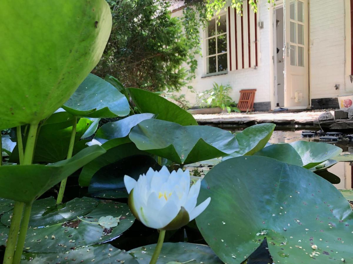 Bed And Breakfast De Haen - Prive-Appartementen Van 43 Of 60 M2 Met Tweepersoons Bubbelbad - Finse Sauna - In Westvleugel Van Luxe Villa Oss Luaran gambar